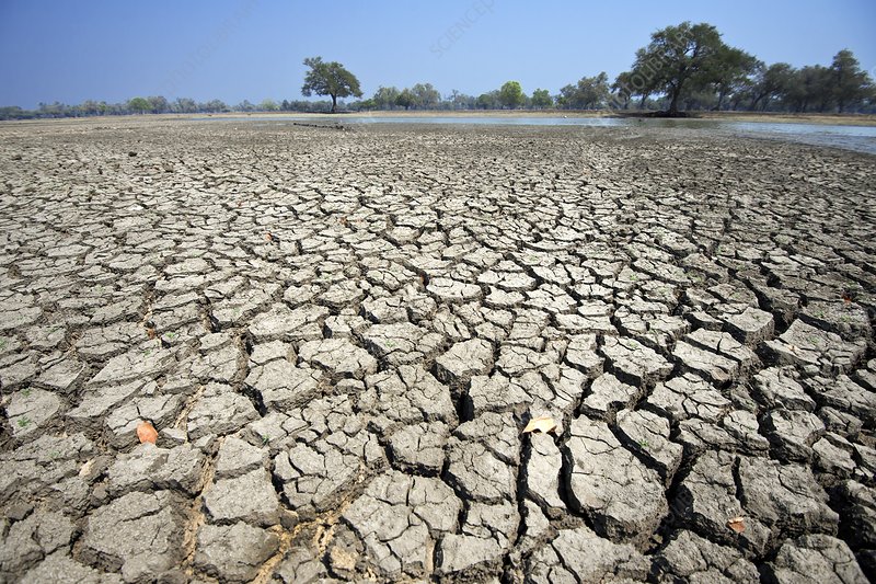 Persistent Dryness in Parts Of Zimbabwe Despite Heavy Rains In January